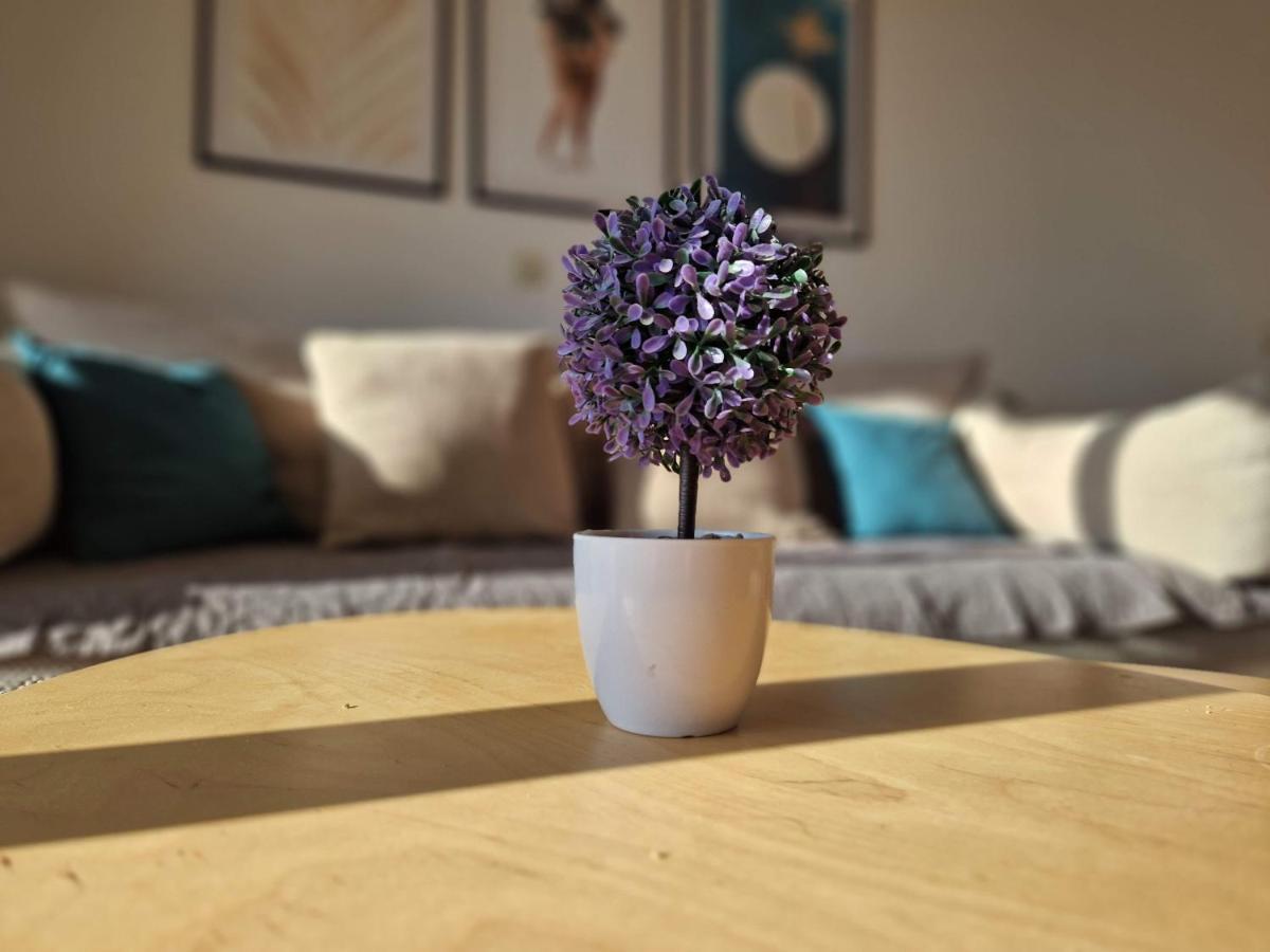 City Apartment Sanja Makarska Esterno foto